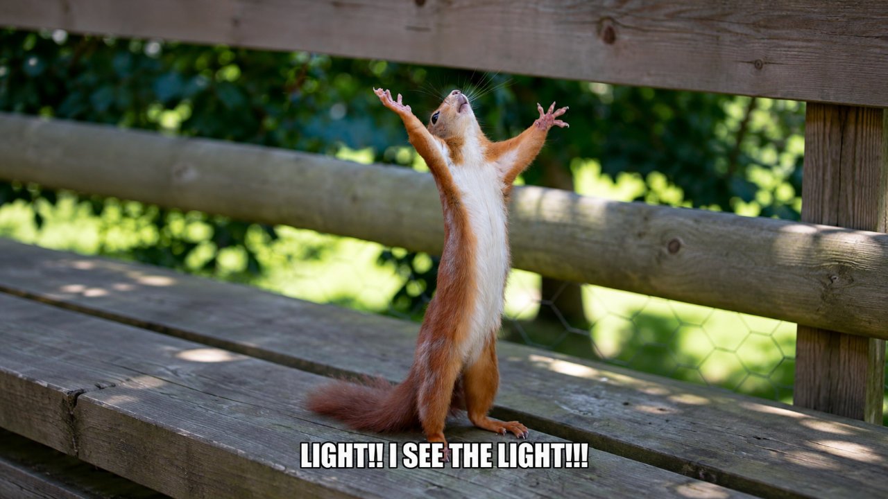 Light I see Light meme